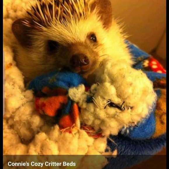 Carrying bag for smaller animals - Picture 2 of 2